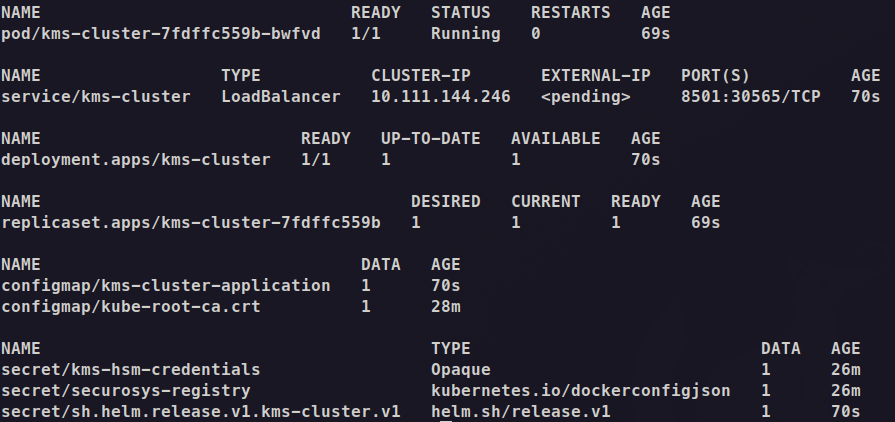 Screenshot of terminal showing the output of kubectl